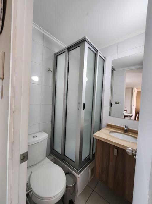 Acogedor Apartamento En Centro De Santiago. Εξωτερικό φωτογραφία