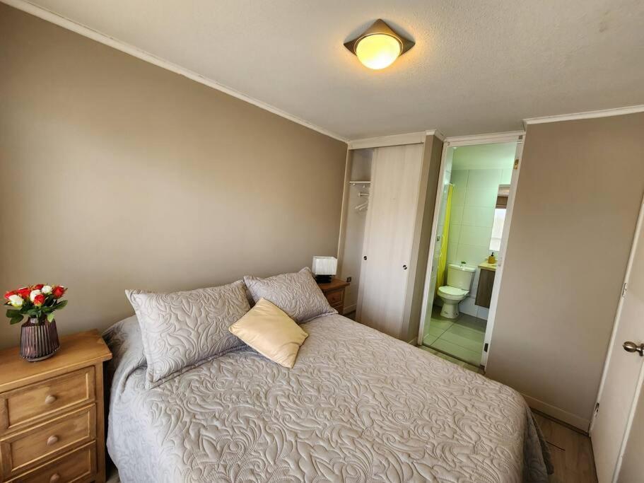 Acogedor Apartamento En Centro De Santiago. Εξωτερικό φωτογραφία
