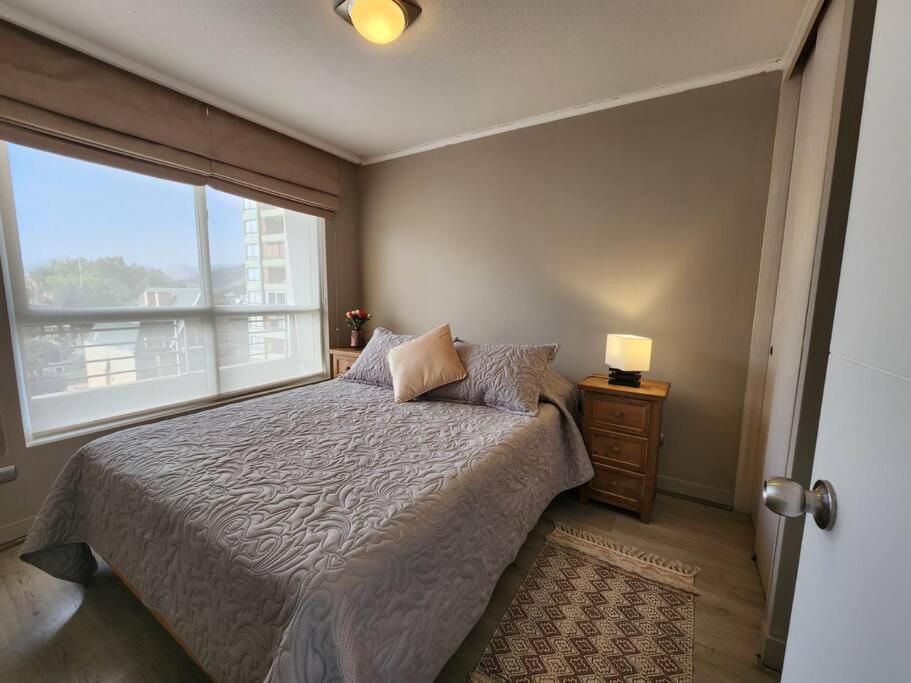 Acogedor Apartamento En Centro De Santiago. Εξωτερικό φωτογραφία