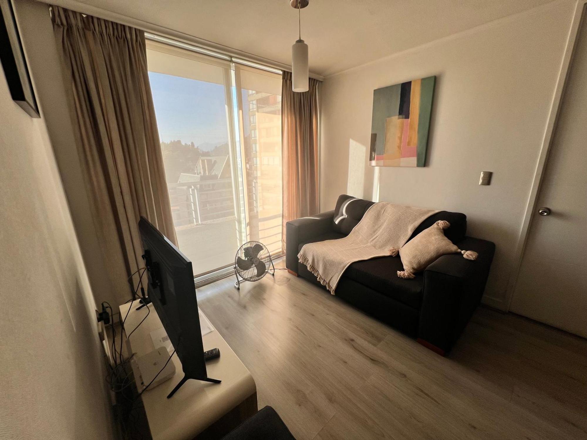 Acogedor Apartamento En Centro De Santiago. Εξωτερικό φωτογραφία